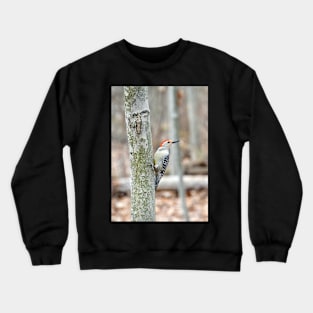 "Red-Bellied Woodpecker Crewneck Sweatshirt